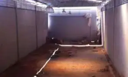 Barracão / Galpão / Depósito à venda na Rua João Alfredo, --, Horto, Belo Horizonte