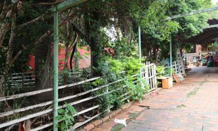 Lote - Terreno à venda, Santa Amélia - Belo Horizonte/MG