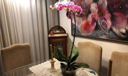 Apartamento à venda, 3 quartos, 1 suíte, 2 vagas, Serra - Belo Horizonte/MG