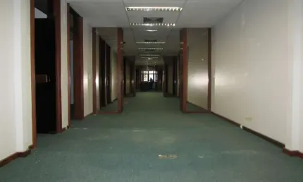 Andar Corrido para aluguel, 8 vagas, Coração de Jesus - Belo Horizonte/MG
