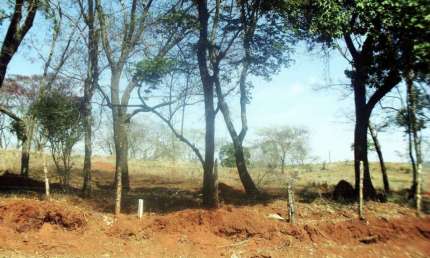 Terreno à venda na Avenida Mário Fonseca Viana, --, Imperial, Vespasiano