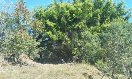 Fazenda - Sítio à venda, Padre Brito - Barbacena/MG