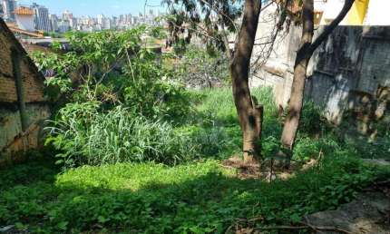 Lote - Terreno à venda, São Bento - Belo Horizonte/MG
