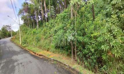 Lote em Condomínio à venda, Canto da Mata - Nova Lima/MG