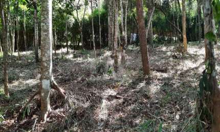 Lote em Condomínio à venda, Estância Serrana - Nova Lima/MG