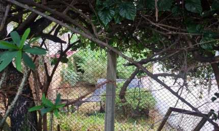 Lote - Terreno à venda, Santa Lúcia - Belo Horizonte/MG