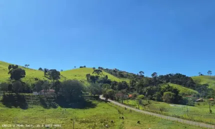 Chácara para Venda em Caldas, Ribeirão das Campinas