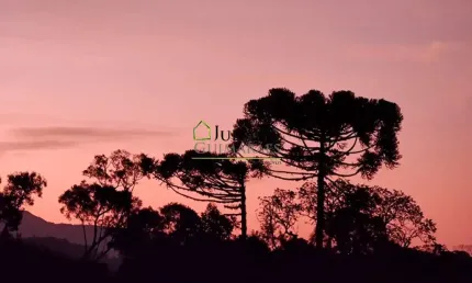 Terreno à venda em Taquaras, Rancho Queimado 