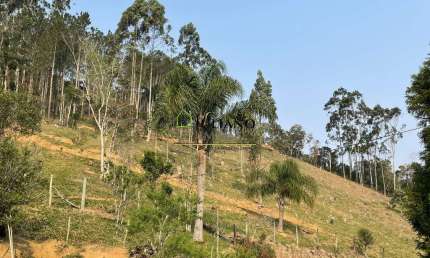 Terreno à venda na Zona Rural, Angelina 