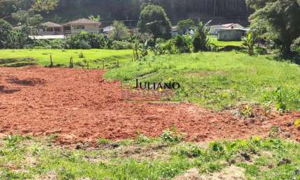 Terreno à venda no Centro, Angelina 