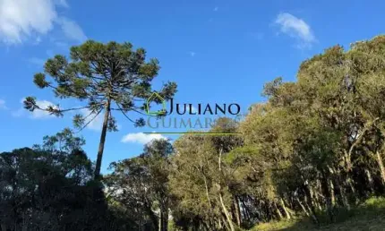 LINDO TERRENO RURAL, com RIO, á venda em Rancho Queimado - SC