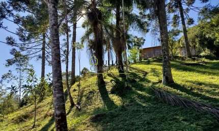 Terreno à venda no Centro, Angelina 