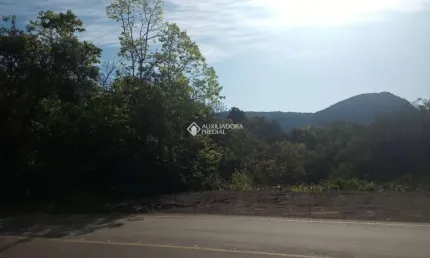 Terreno à venda na linha sao joao, 11, centro, canela, 90000 m2 por r$ 2.400.000