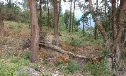 Terreno à venda na Belo Monte, 15, Centro, Canela, 257 m2 por R$ 315.000