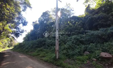 Terreno à venda na São Paulo/Canastra, 30, Centro, Canela, 100000 m2 por R$ 350.000