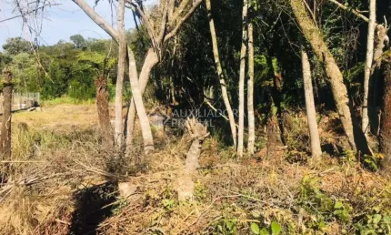 Terreno em condomínio fechado à venda na EDYE PAULO RAYMUNDO, 27, Centro, Canela, 790 m2 por R$ 460.000