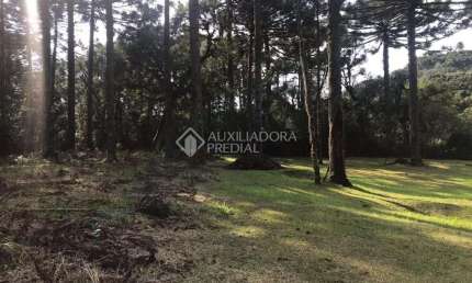 Terreno em condomínio fechado à venda na Omar Victor Veeck, 1, Caracol, Canela, 750 m2 por R$ 499.000