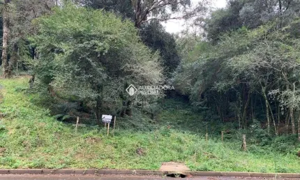 Terreno comercial à venda na Gravataã­, 03, Santa Terezinha, Canela, 612 m2 por R$ 340.000