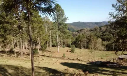 Terreno à venda na Municipal Cnl 350, 120, Centro, Canela, 30000 m2 por R$ 3.000.000