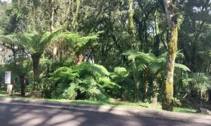 Terreno em condomínio fechado à venda na Rua Prefeito Waldemar Frederico Weber, 1815, Mato Queimado, Gramado por R$ 1.600.000