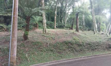 Terreno em condomínio fechado à venda na Rua Prefeito Waldemar Frederico Weber, 1815, Mato Queimado, Gramado por R$ 1.590.000