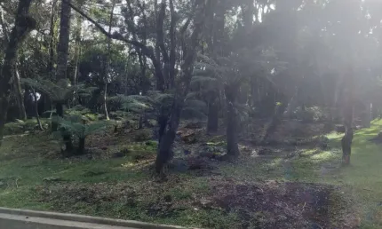 Terreno em condomínio fechado à venda na Rua Prefeito Waldemar Frederico Weber, 1815, Mato Queimado, Gramado por R$ 2.990.000