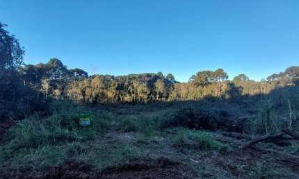 Terreno à venda na Linha Furna, 1, Linha Furna, Gramado por R$ 3.000.000