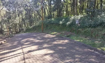 Terreno à venda na ERS-466, 16, Caracol, Canela, 952 m2 por R$ 750.000