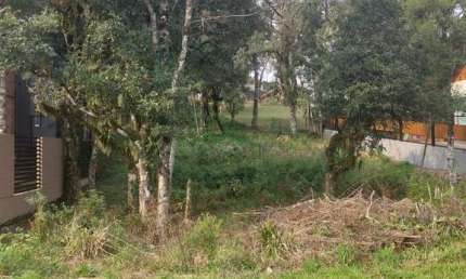 Terreno à venda na Pessegueiro, 07, Carniel, Gramado por R$ 710.000