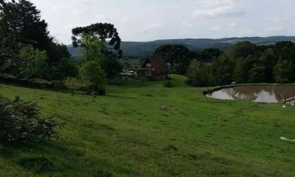 Fazenda à venda na Tupi, 580, Centro, São Francisco de Paula, 25601 m2 por R$ 1.000.000