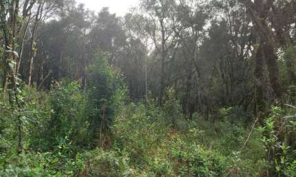 Terreno à venda na Estremosa, 4, Carniel, Gramado, 450 m2 por R$ 620.000