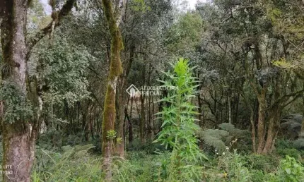 Terreno à venda na Vinicius De Moraes, 1, Vila do Cedro, Canela, 612 m2 por R$ 266.000