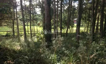 Terreno à venda na Dos Manea, 157, Jardim Das Fontes, Canela, 12764 m2 por R$ 1.060.000
