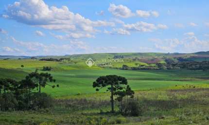 Fazenda à venda na tres irmãos, 1, Lajeado Grande, São Francisco de Paula, 1571700 m2 por R$ 9.200.000