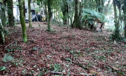Terreno em condomínio fechado à venda na Irmão Albino Bruneto, 1, Parque das Hortênsias, Canela, 640 m2 por R$ 890.000