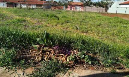 Terreno à Venda no Centro de Quadra, SP – Localização Privilegiada