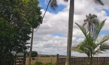 Chácara a venda no Bairro Campininha - Cesário Lange/SP.