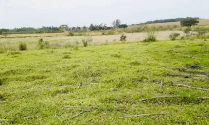 Área de 12 alqueires a venda em capela do alto - sp.