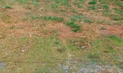 Terreno em condomínio fechado à venda no Residencial Esplanada de Tatuí, Tatuí 