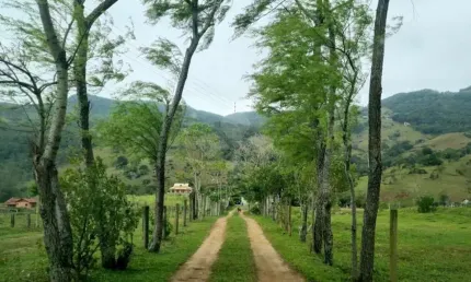 Chácara / sítio com 2 quartos à venda na Henrique Bernardo, 34, Morro do Freitas, Paulo Lopes por R$ 1.500.000
