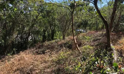 Terreno em condomínio fechado à venda na geral da ferrugem, 1, capão, garopaba por r$ 550.000