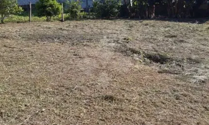 Terreno em condomínio fechado à venda na geral do siriú, siriú, garopaba por r$ 530.000