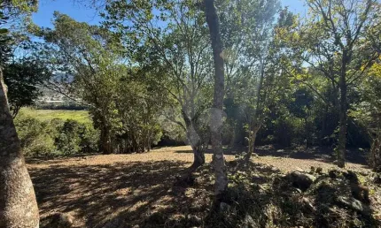 Terreno em condomínio fechado à venda na caminho do rei, 2000, praia da silveira, garopaba por r$ 1.000.000