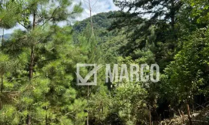 Terreno à venda no ribeirão souto, pomerode , 11312 m2 por r$ 689.000