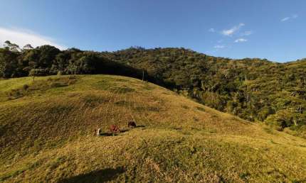Terreno à venda no Vale do Selke Grande, Pomerode  por R$ 590.000