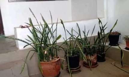 Imóvel disponível para venda Jardim São Francisco em Salto/SP!