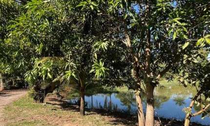 Chácara à Venda em Elias Fausto – Porteira Fechada!