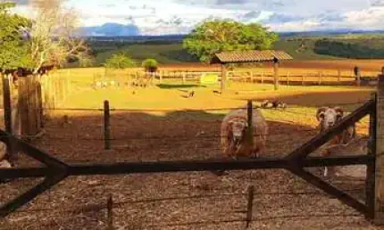Fazenda com 2 salas à venda na rua monsenhor soares, 1501, área rural de itapetininga, itapetininga por r$ 24.000.000