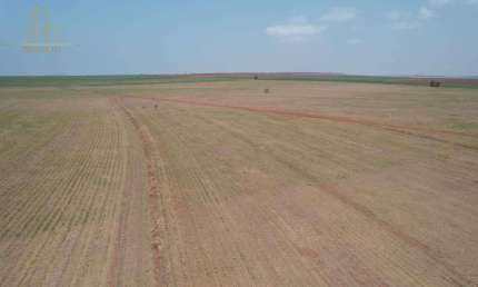 FAZENDA À VENDA – CANA-DE-AÇÚCAR – TEODORO SAMPAIO/SP