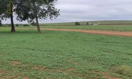 Excelente oportunidade de investimento em Rio das Pedras/SP!